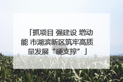 抓项目 强建设 增动能 市湖滨新区筑牢高质量发展“硬支撑”