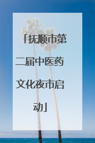抚顺市第二届中医药文化夜市启动