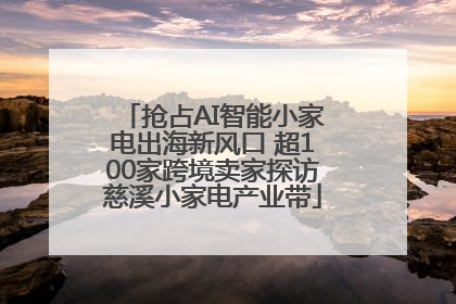 抢占AI智能小家电出海新风口 超100家跨境卖家探访慈溪小家电产业带