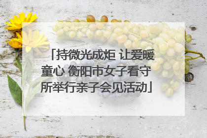 持微光成炬 让爱暖童心 衡阳市女子看守所举行亲子会见活动