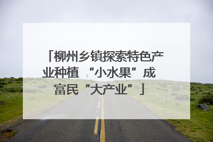 柳州乡镇探索特色产业种植 “小水果”成富民“大产业”