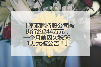 李亚鹏持股公司被执行约244万元，一个月前因欠税561万元被公告！