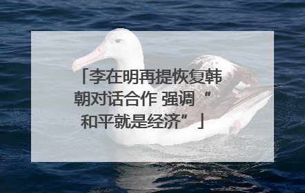 李在明再提恢复韩朝对话合作 强调“和平就是经济”