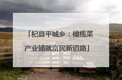 杞县平城乡：橄榄菜产业铺就富民新道路