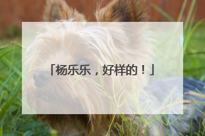 杨乐乐，好样的！