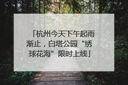 杭州今天下午起雨渐止，白塔公园“绣球花海”限时上线