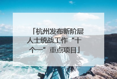 杭州发布新阶层人士统战工作“十个一”重点项目