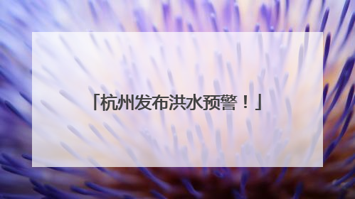 杭州发布洪水预警！