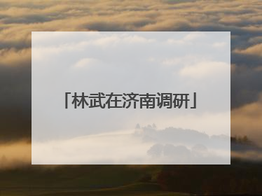 林武在济南调研