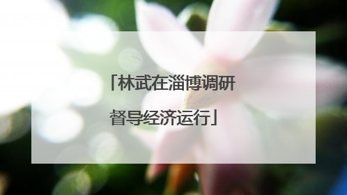 林武在淄博调研督导经济运行