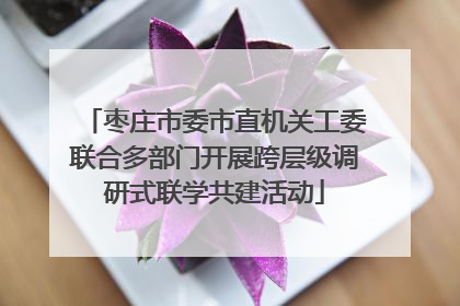 枣庄市委市直机关工委联合多部门开展跨层级调研式联学共建活动