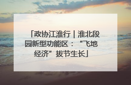 政协江淮行｜淮北段园新型功能区：“飞地经济”拔节生长