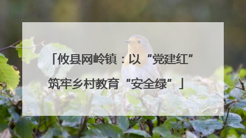 攸县网岭镇：以“党建红”筑牢乡村教育“安全绿”