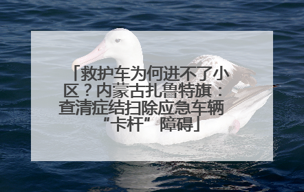 救护车为何进不了小区？内蒙古扎鲁特旗：查清症结扫除应急车辆“卡杆”障碍