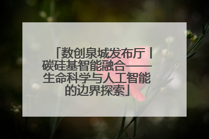 数创泉城发布厅丨碳硅基智能融合——生命科学与人工智能的边界探索