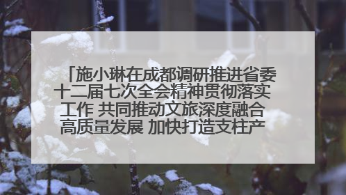 施小琳在成都调研推进省委十二届七次全会精神贯彻落实工作 共同推动文旅深度融合高质量发展 加快打造支柱产业民生产业幸福产业