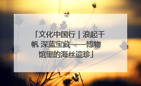 文化中国行｜浪起千帆 深蓝宝藏——博物馆里的海丝遗珍