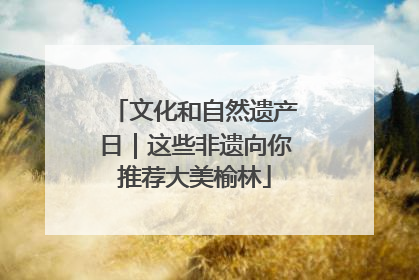 文化和自然遗产日｜这些非遗向你推荐大美榆林