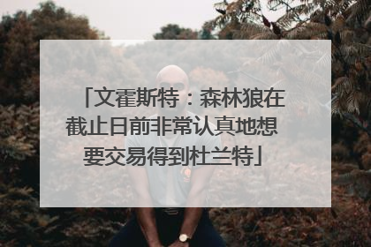 文霍斯特：森林狼在截止日前非常认真地想要交易得到杜兰特