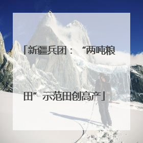 新疆兵团：“两吨粮田”示范田创高产