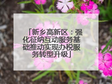 新乡高新区：强化征纳互动服务基础推动实现办税服务转型升级
