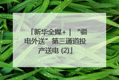 新华全媒+｜“疆电外送”第三通道投产送电 (2)