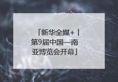 新华全媒+丨第9届中国—南亚博览会开幕