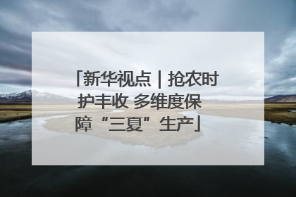 新华视点｜抢农时 护丰收 多维度保障“三夏”生产