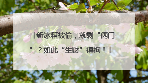 新冰箱被偷，就剩“俩门”？如此“生财”得拘！