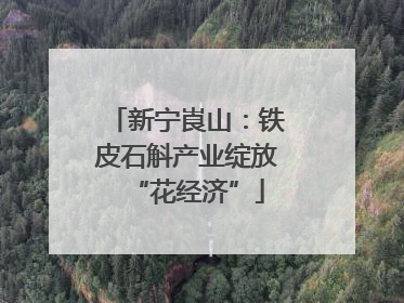 新宁崀山：铁皮石斛产业绽放“花经济”