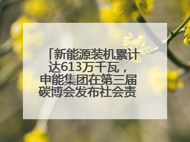 新能源装机累计达613万千瓦，申能集团在第三届碳博会发布社会责任报告