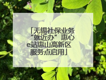 无锡社保业务“就近办”惠心e站惠山高新区服务点启用