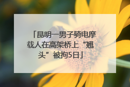 昆明一男子骑电摩载人在高架桥上“翘头”被拘5日