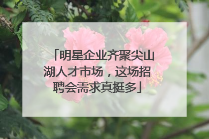 明星企业齐聚尖山湖人才市场，这场招聘会需求真挺多
