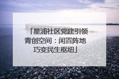 星浦社区党建引领青创空间：闲置阵地巧变民生枢纽