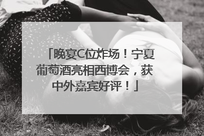 晚宴C位炸场！宁夏葡萄酒亮相西博会，获中外嘉宾好评！