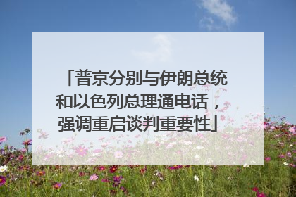 普京分别与伊朗总统和以色列总理通电话，强调重启谈判重要性