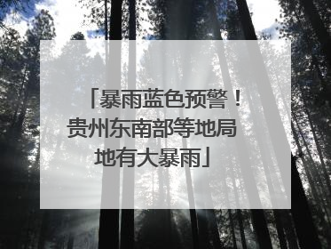 暴雨蓝色预警！贵州东南部等地局地有大暴雨