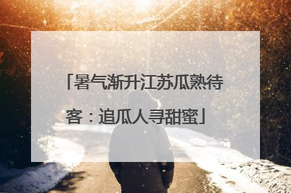 暑气渐升江苏瓜熟待客：追瓜人寻甜蜜