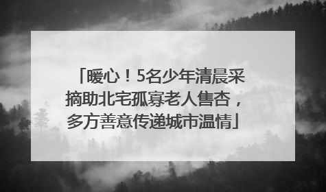 暖心！5名少年清晨采摘助北宅孤寡老人售杏，多方善意传递城市温情