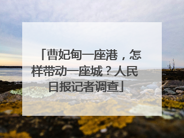 曹妃甸一座港，怎样带动一座城？人民日报记者调查