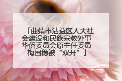 曲靖市沾益区人大社会建设和民族宗教外事华侨委员会原主任委员梅国稳被“双开”