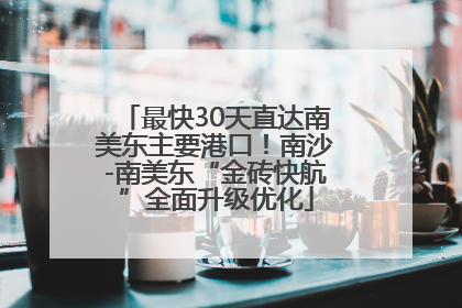 最快30天直达南美东主要港口！南沙-南美东“金砖快航”全面升级优化
