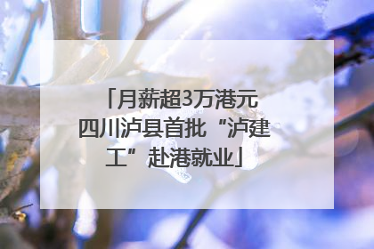 月薪超3万港元 四川泸县首批“泸建工”赴港就业