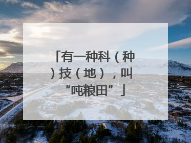 有一种科（种）技（地），叫“吨粮田”