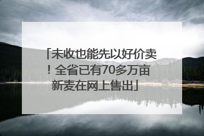 未收也能先以好价卖！全省已有70多万亩新麦在网上售出