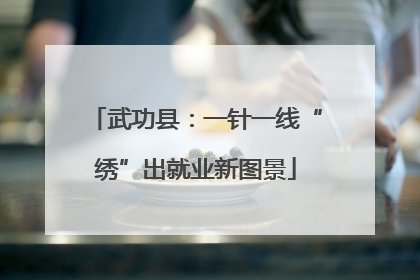 武功县：一针一线“绣”出就业新图景