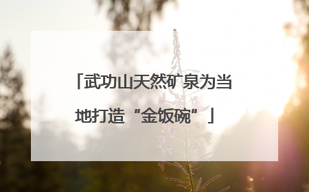武功山天然矿泉为当地打造“金饭碗”