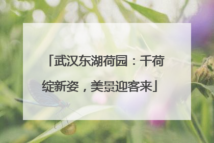 武汉东湖荷园：千荷绽新姿，美景迎客来