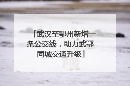 武汉至鄂州新增一条公交线，助力武鄂同城交通升级